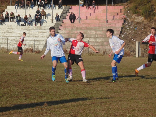 DSC00105 copy