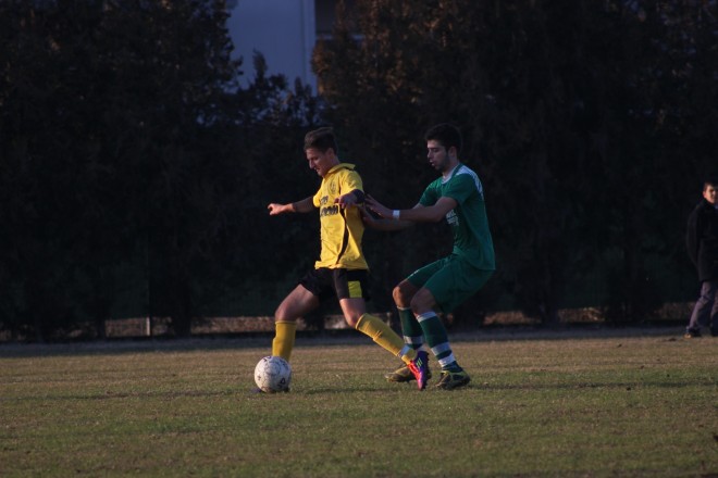 IMG_0528 copy