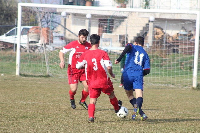 IMG_1768 copy