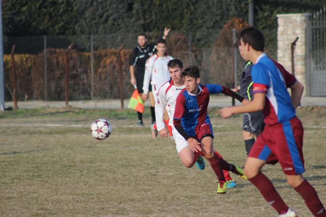 IMG_2107 copy