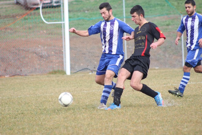 IMG_3729 copy