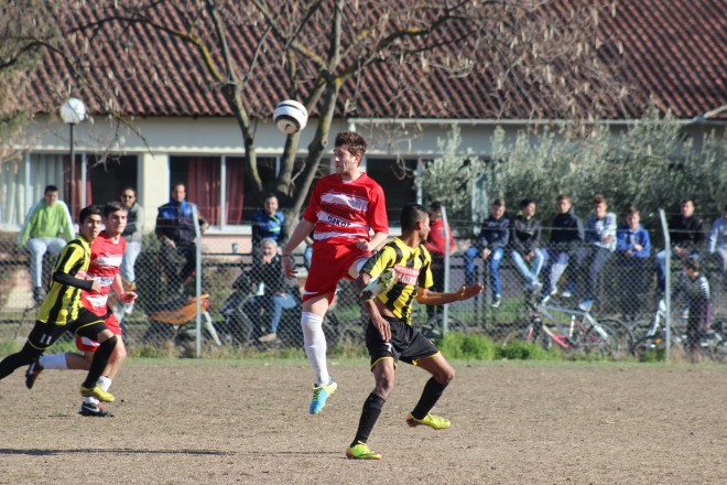 IMG_6711 copy