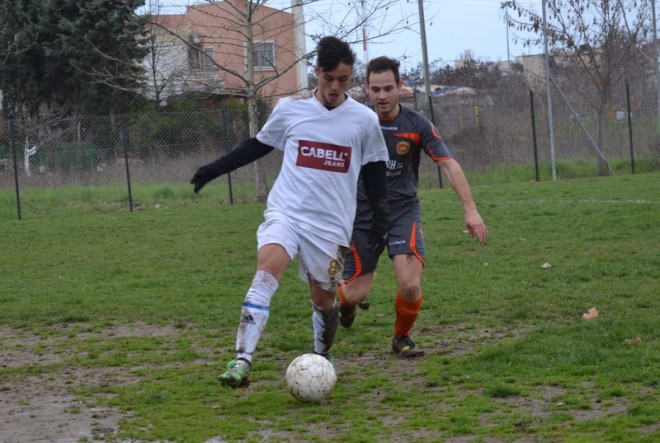 DSC_0253 (Αντιγραφή)