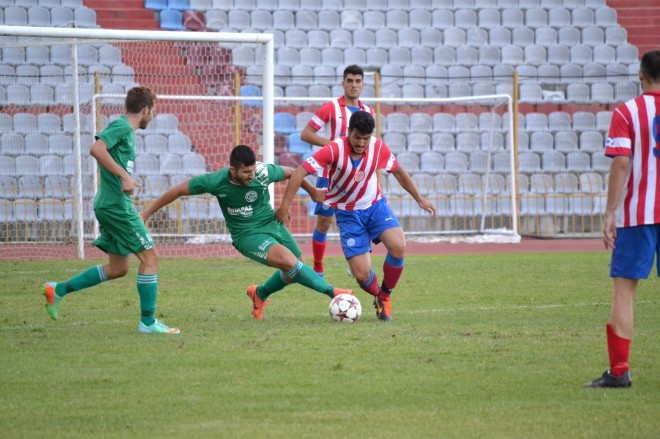 ΘΑΝΑΣΗΣ ΛΙΟΛΙΟΣ - ΠΑΤΣΙΩΤΟΣ