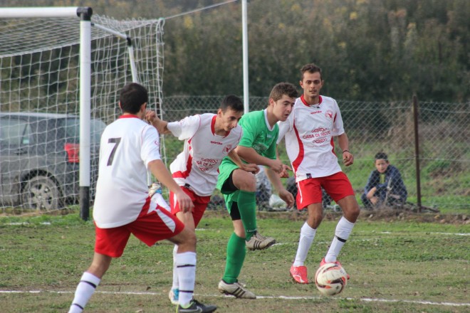 IMG_0630 copy