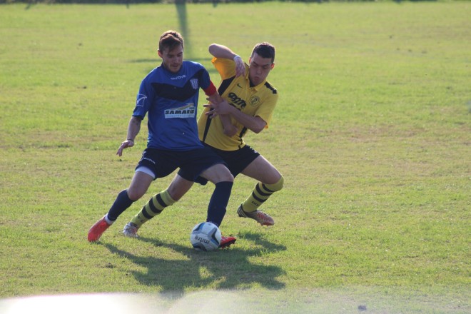 IMG_2230 copy
