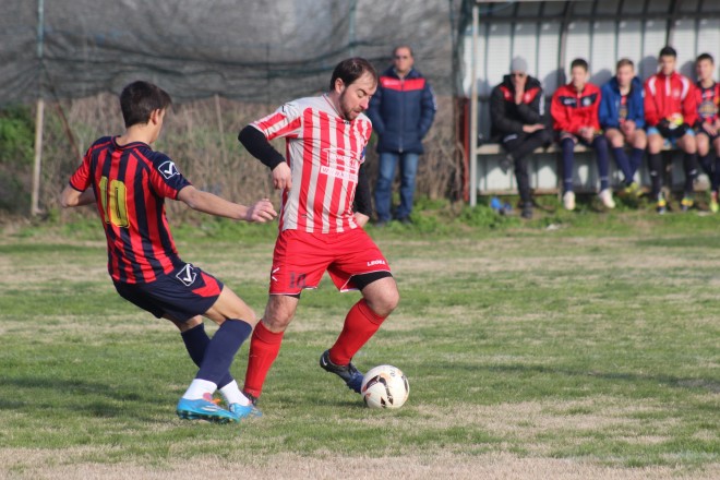 IMG_3788 copy