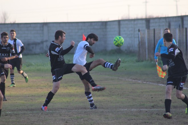 IMG_3906 copy