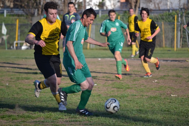 DSC_0222 copy