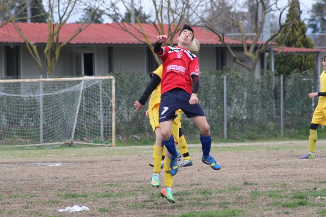 IMG_1365 copy