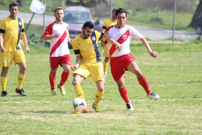 IMG_2075 copy