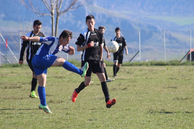 IMG_2537 copy