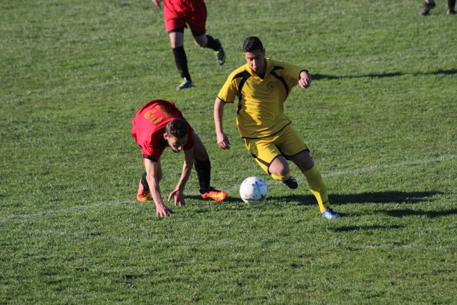 IMG_2587 copy