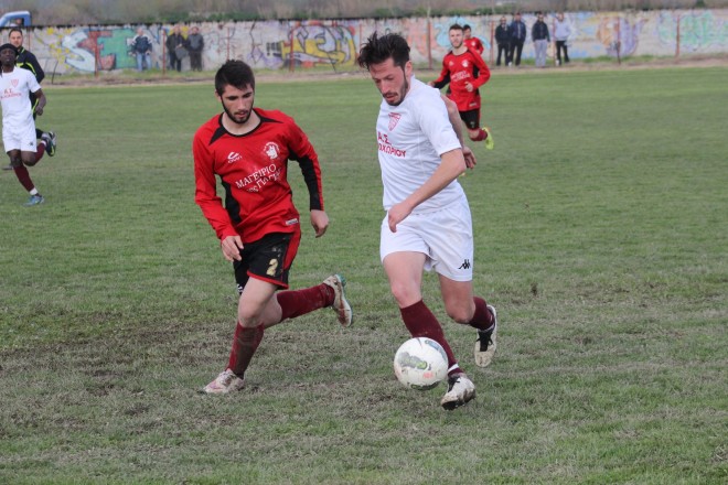IMG_4406 copy