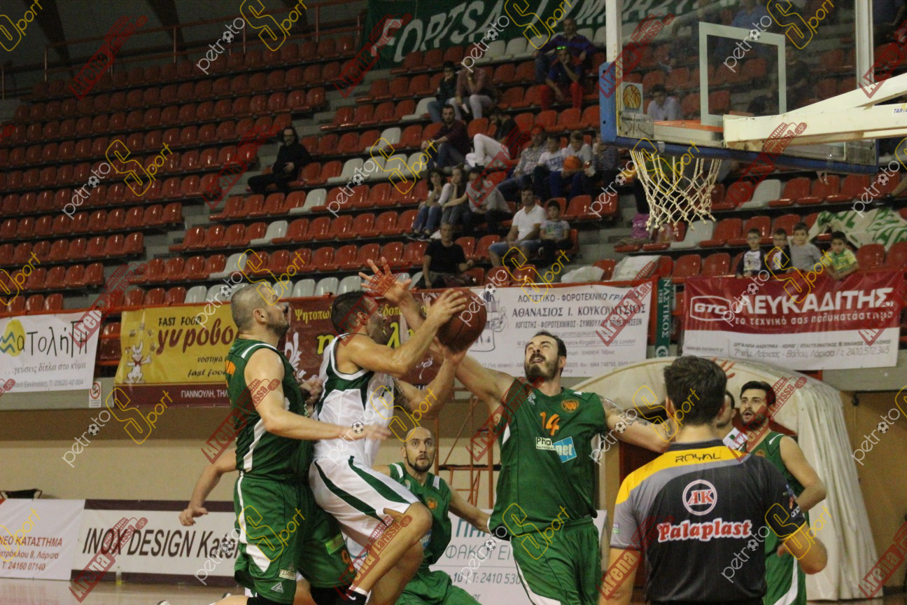 IMG_5828 copy
