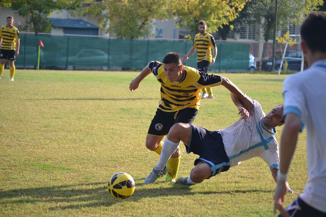 ΑΡΓΥΡΗΣ - ΣΧΟΙΝΑΣ