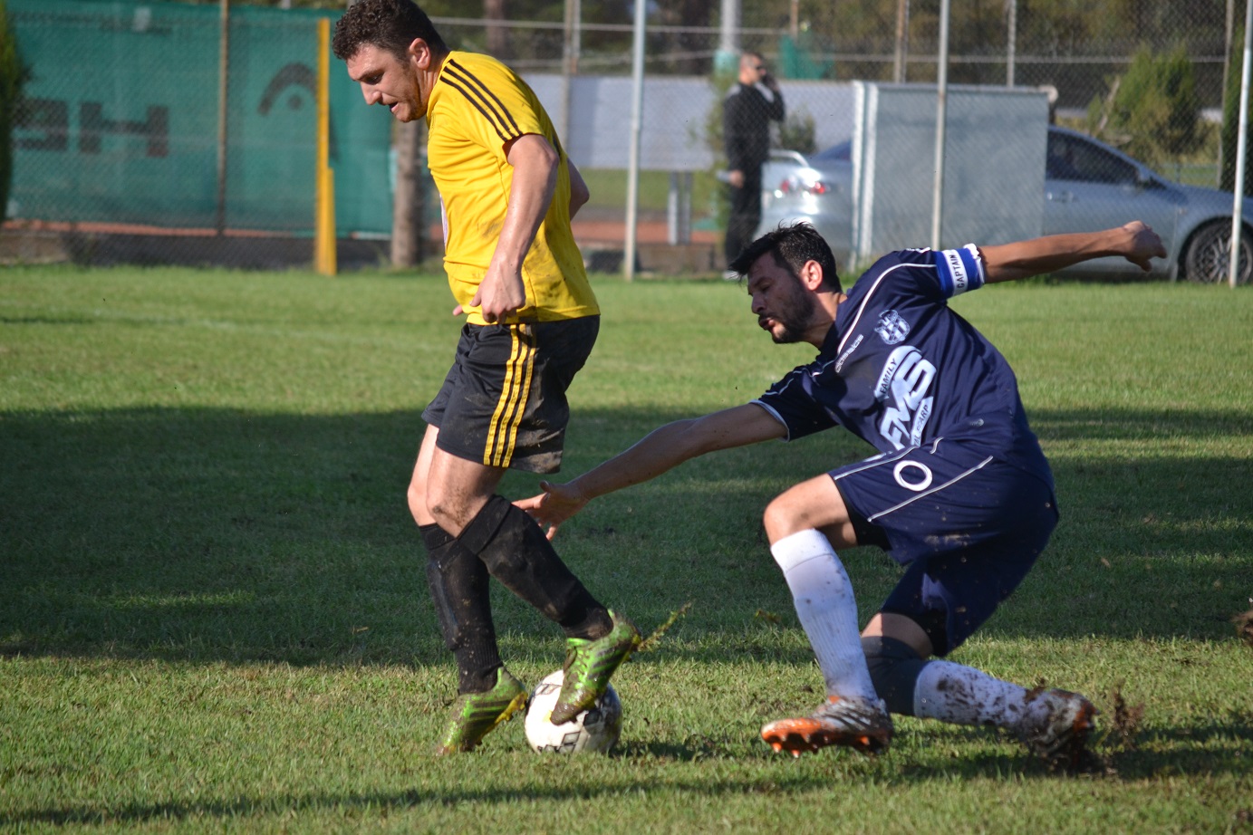 ΓΩΓΑΚΟΣ - ΞΑΦΑΡΑΣ