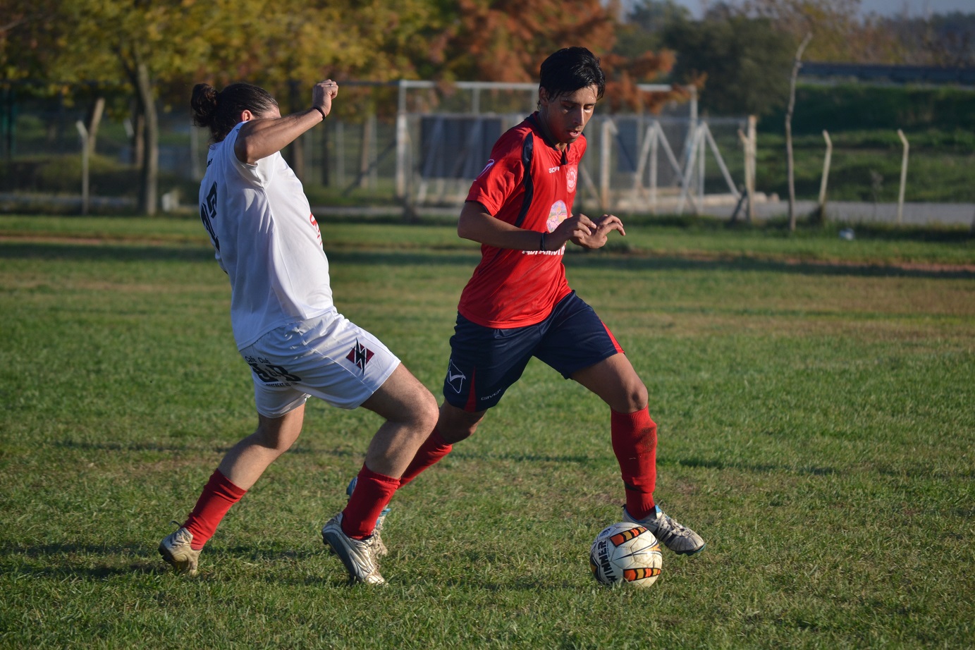 ΝΤΑΛΙΠΙ - ΜΙΧΑΗΛ