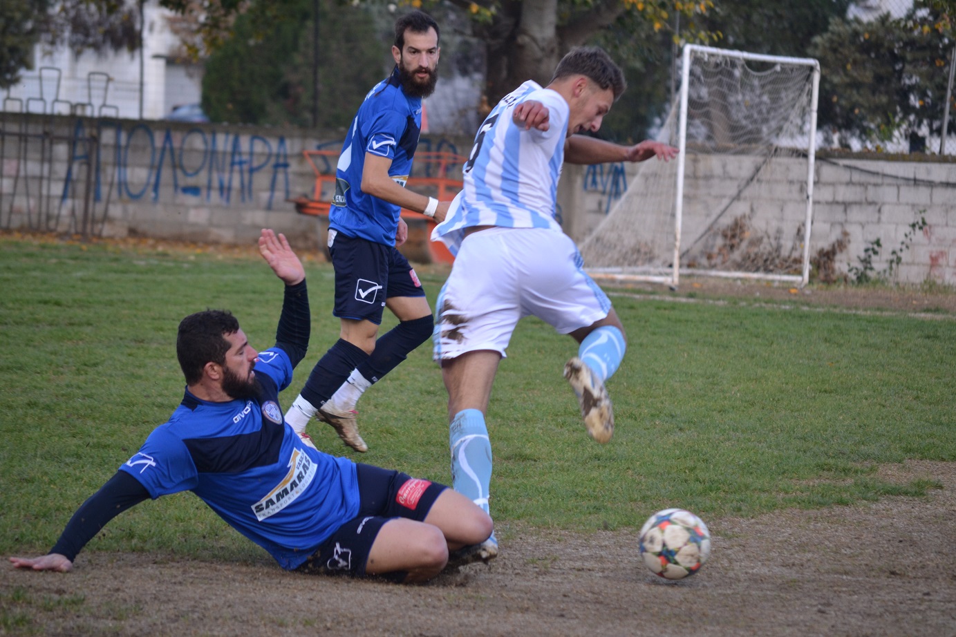 ΣΙΝΑΠΑΛΟΣ - ΚΟΥΡΟ