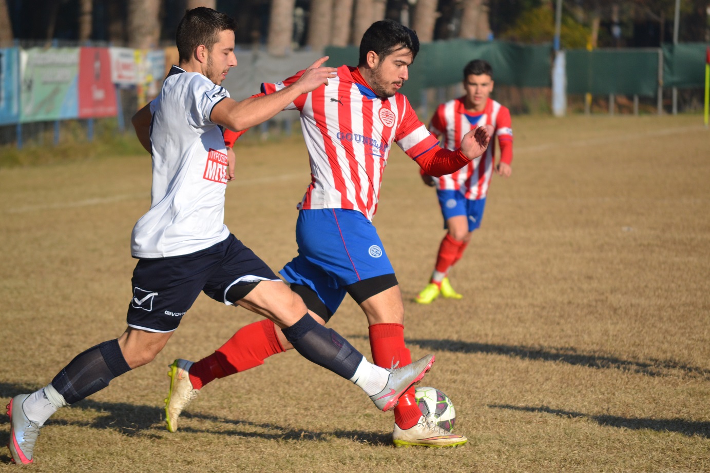 ΛΙΟΛΙΟΣ - ΜΟΥΤΣΙΟΣ