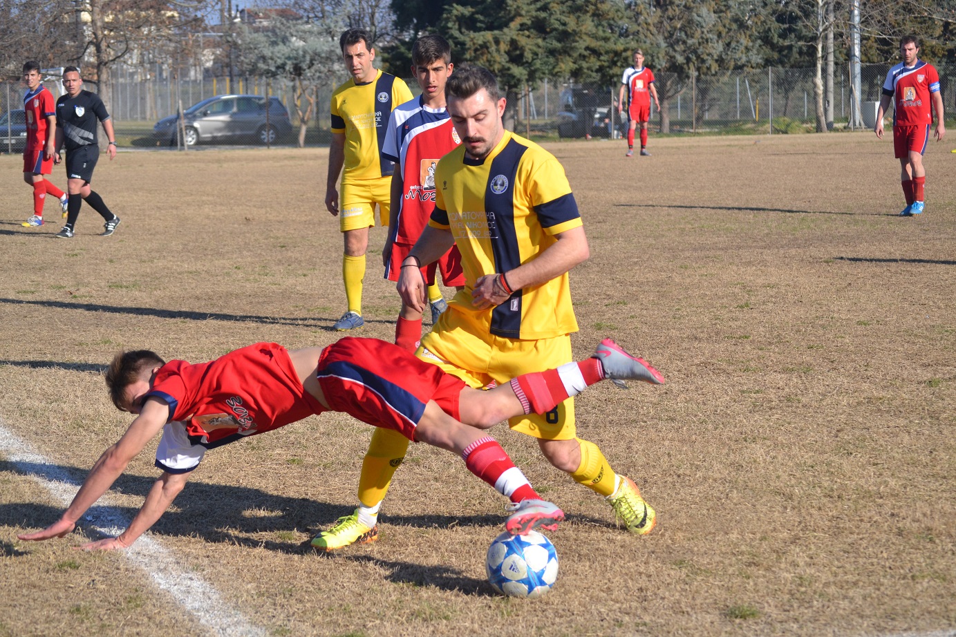 ΛΑΔΑΣ - ΠΙΝΑΚΑΣ