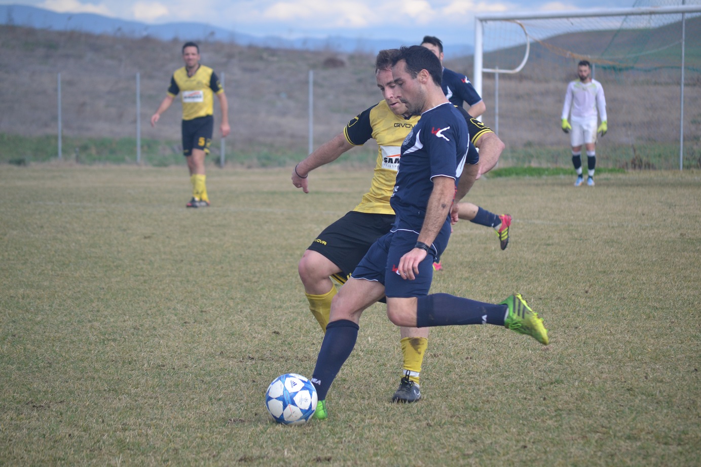 ΣΧΟΙΝΑΣ - ΑΝΔΡΩΝΗΣ