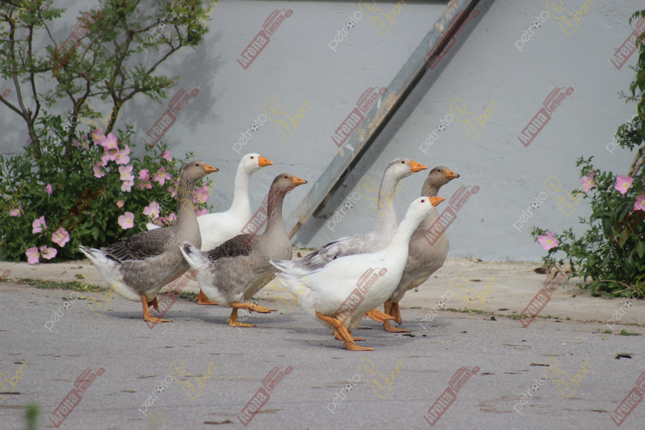 IMG_0166 copy
