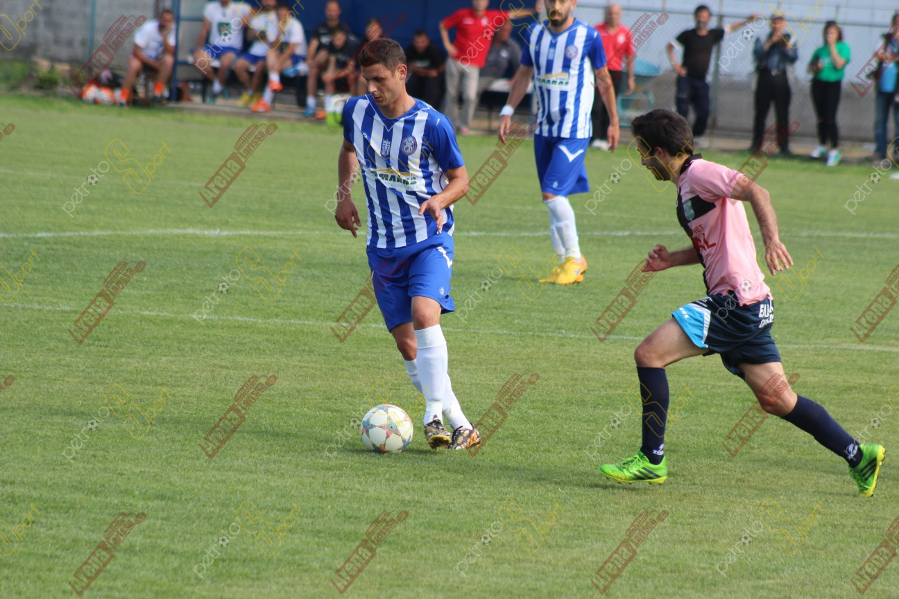 IMG_3393 copy