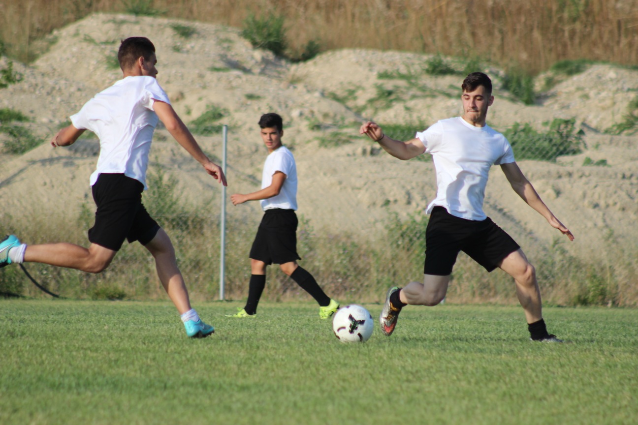 IMG_3955 copy