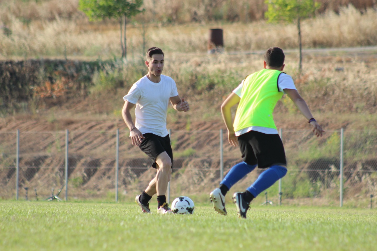 IMG_3976 copy
