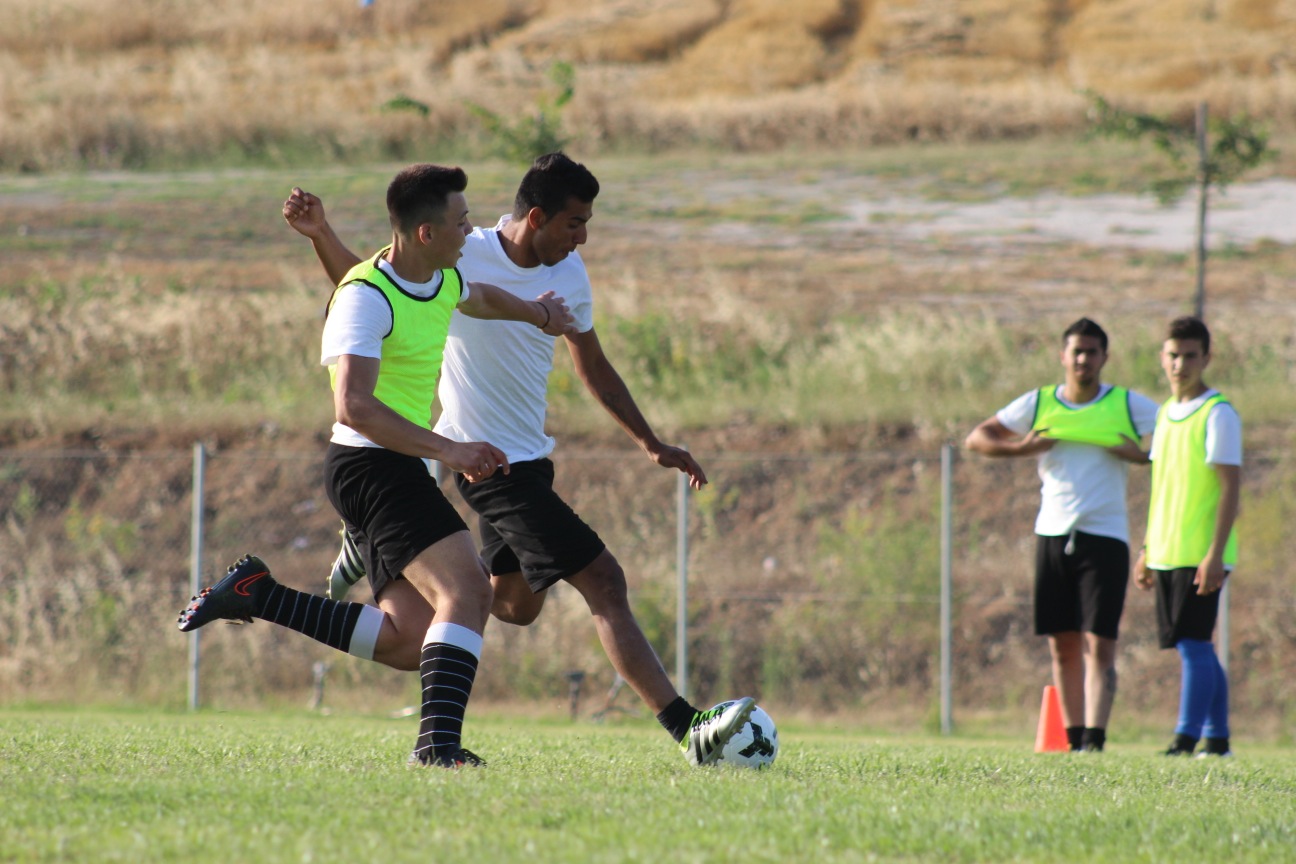 IMG_3982 copy