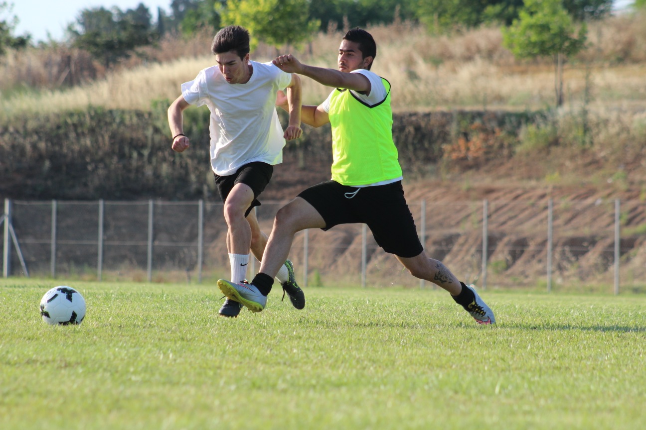 IMG_3988 copy