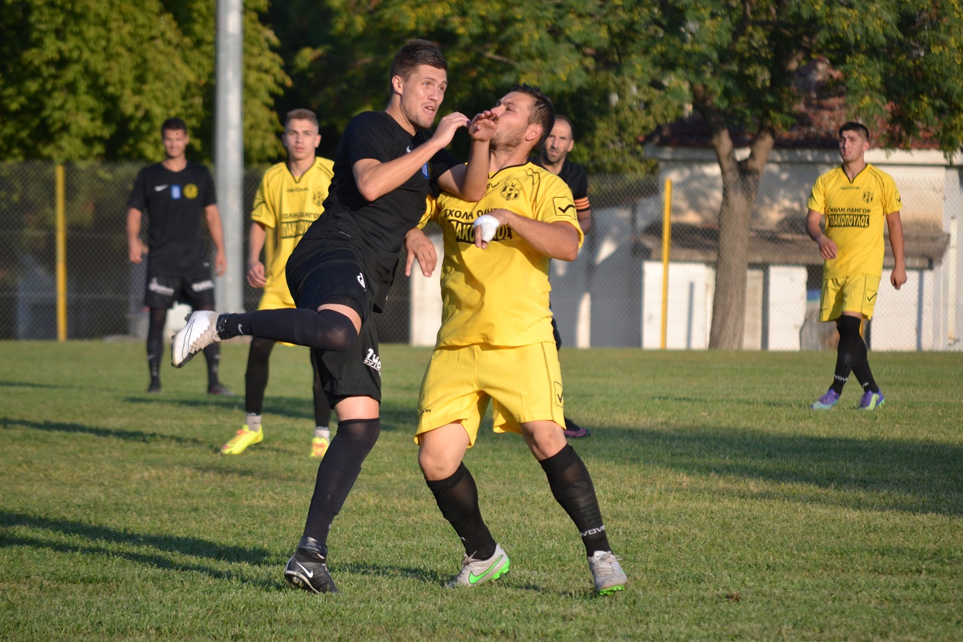 ΠΑΛΑΣΚΑΣ - ΦΛΩΡΟΣ ΠΑΝΤ.