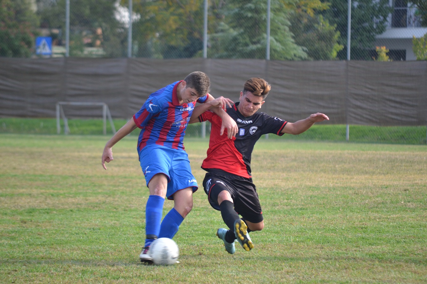 ΠΛΙΤΣΗΣ - ΤΣΙΑΡΑΣ Δ.