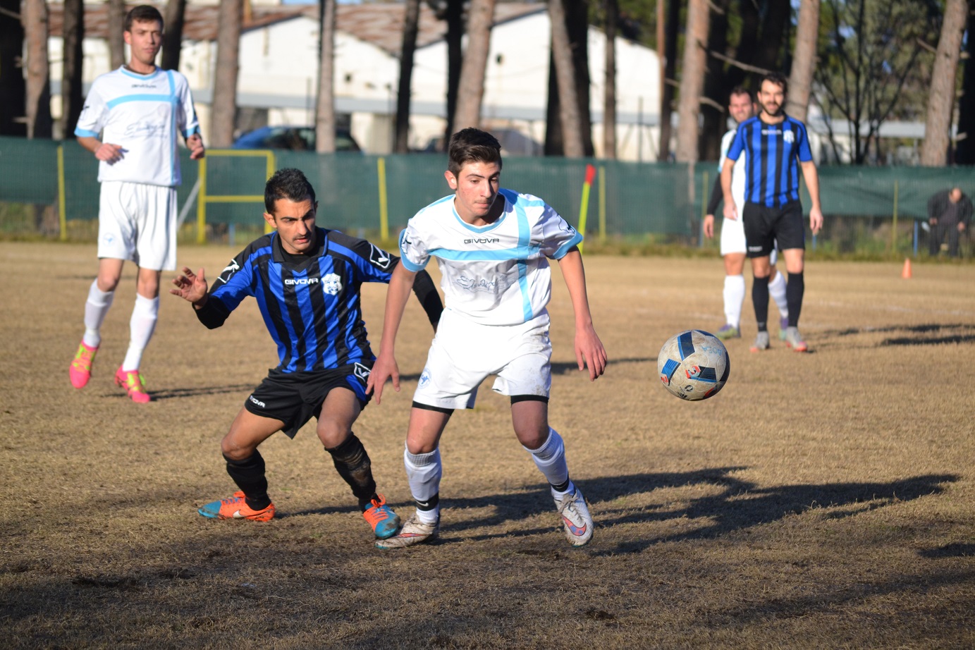 ΜΗΤΣΙΟΣ - ΚΟΛΛΙΑΣ