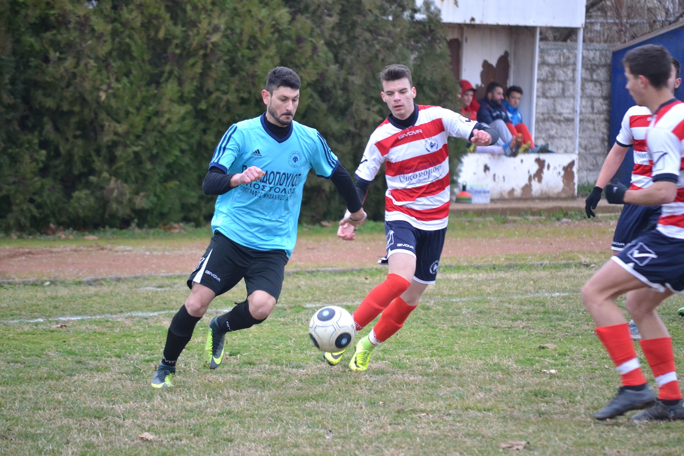 ΓΚΑΤΖΟΓΙΑΣ - ΤΣΟΤΣΟΣ